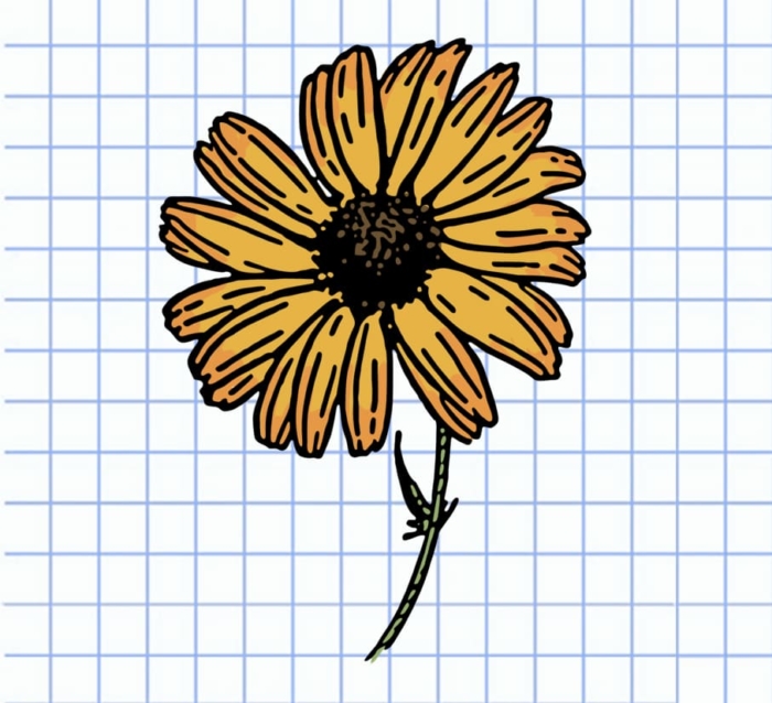 Hermosos dibujos de flores - 200 imágenes para dibujar