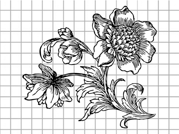 Beaux dessins de fleurs - 200 images à esquisser