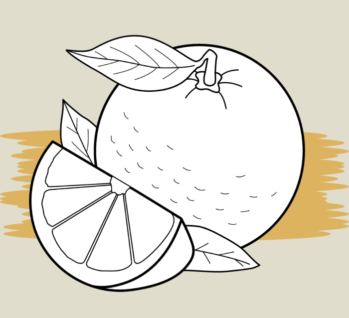 Potravinové kresby pro náčrtky - 100 nápadů na kreslení