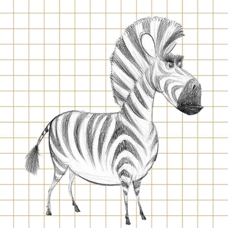 Картинки зебры для срисовки