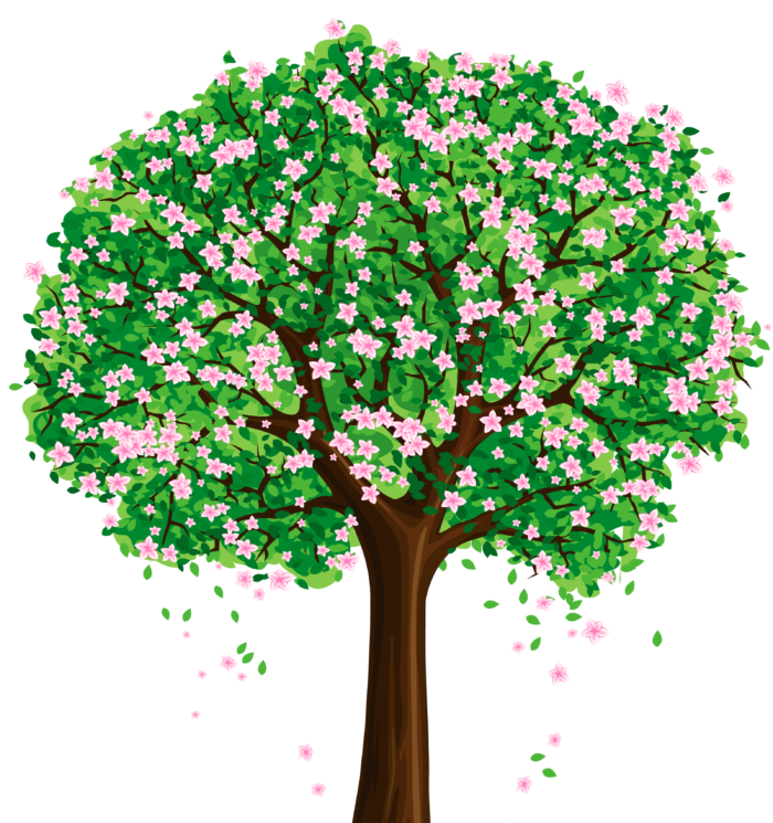 Trees in PNG on Transparent Background - Free Cliparts