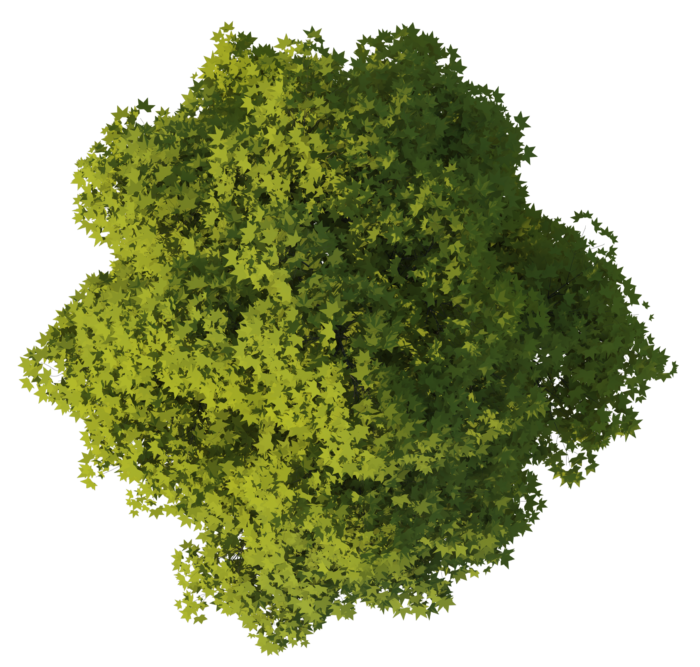 Trees in PNG on Transparent Background - Free Cliparts