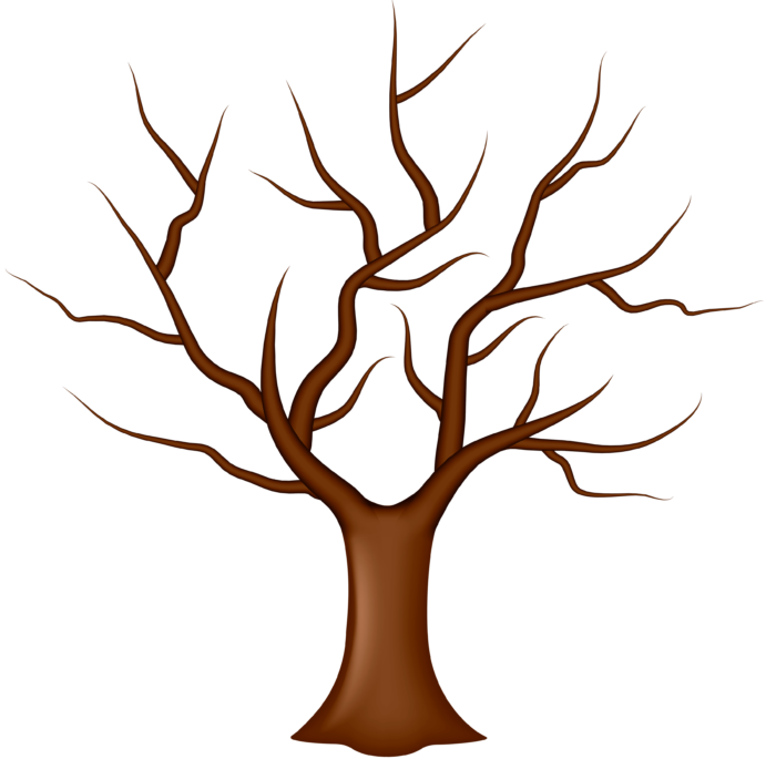 Trees in PNG on Transparent Background - Free Cliparts