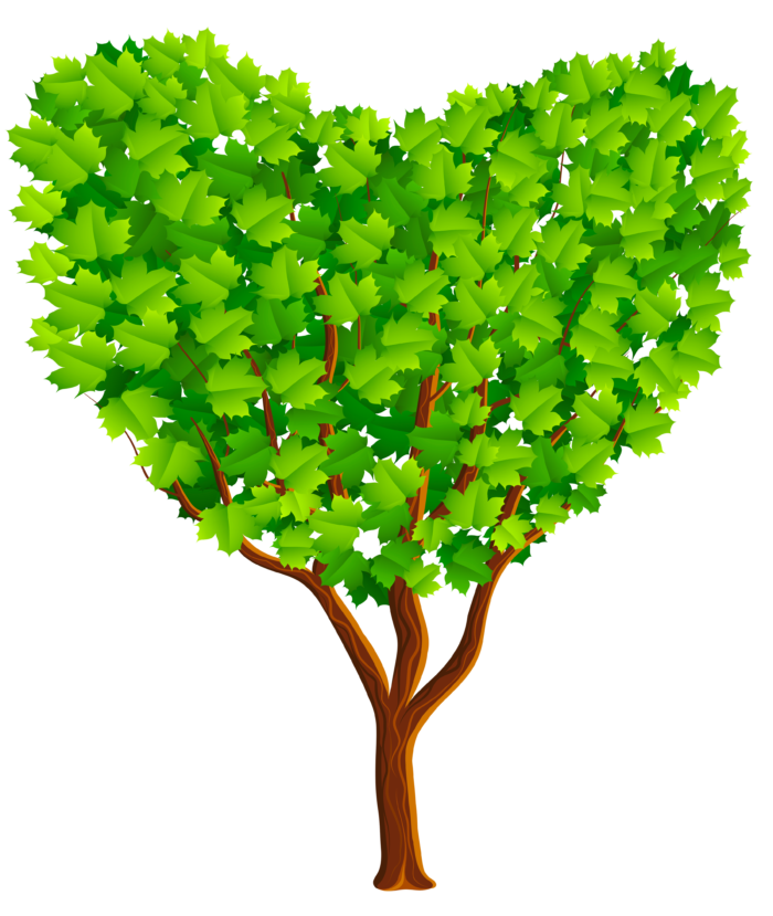 Arbres au format PNG sur fond transparent - Images gratuites