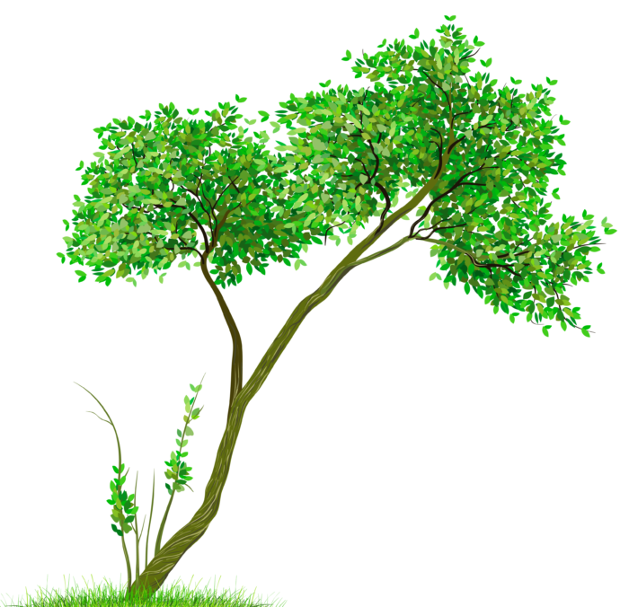 Trees in PNG on Transparent Background - Free Cliparts