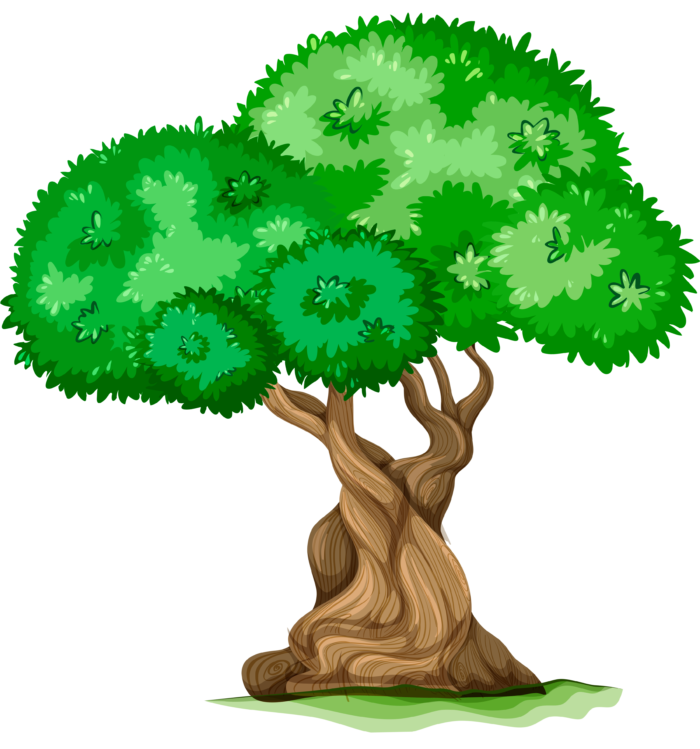 Arbres au format PNG sur fond transparent - Images gratuites