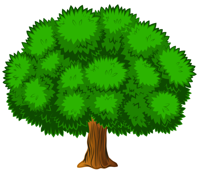 Bäume im PNG-Format auf transparentem Hintergrund