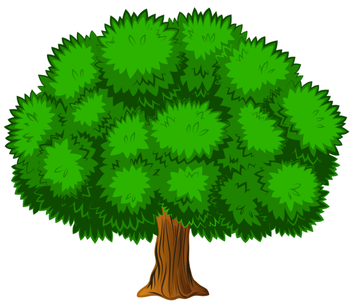 Arbres au format PNG sur fond transparent - Images gratuites