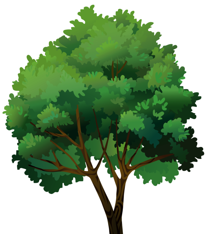 Деревья в формате PNG на прозрачном фоне - Бесплатные клипарты