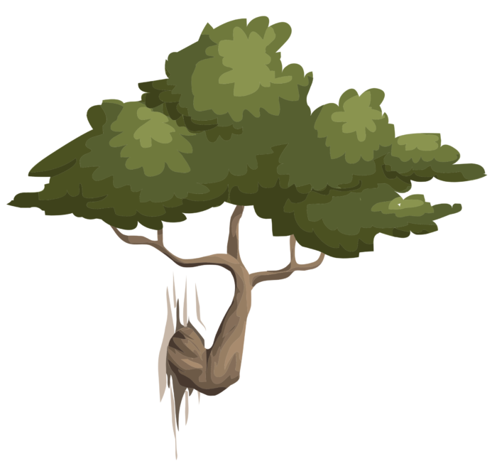 Bäume im PNG-Format auf transparentem Hintergrund