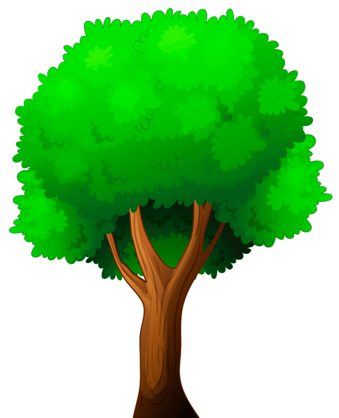 Alberi in formato PNG su sfondo trasparente - Immagini gratis