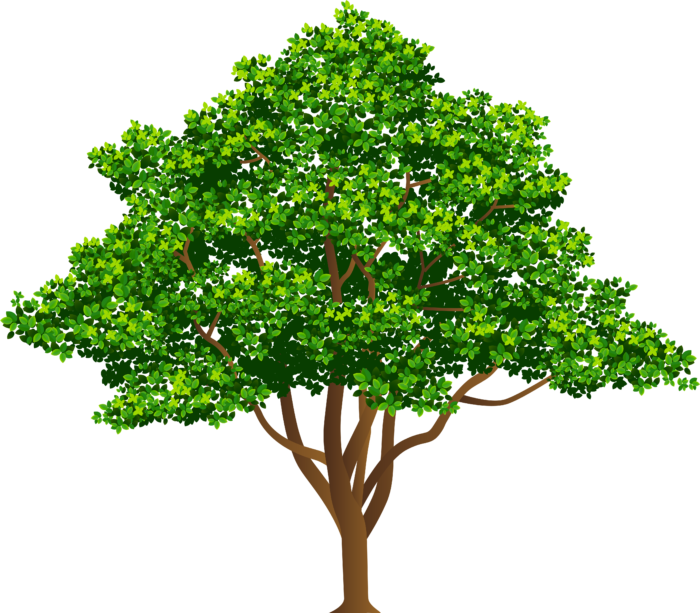 Trees in PNG on Transparent Background - Free Cliparts