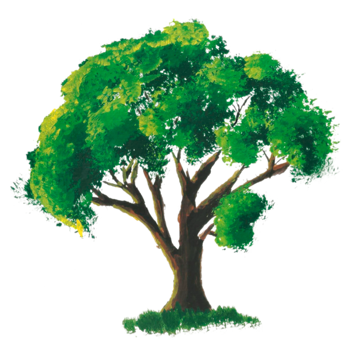 Trees in PNG on Transparent Background - Free Cliparts