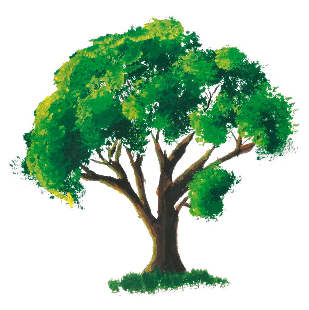 الأشجار بتنسيق PNG على خلفية شفافة صور مجانية