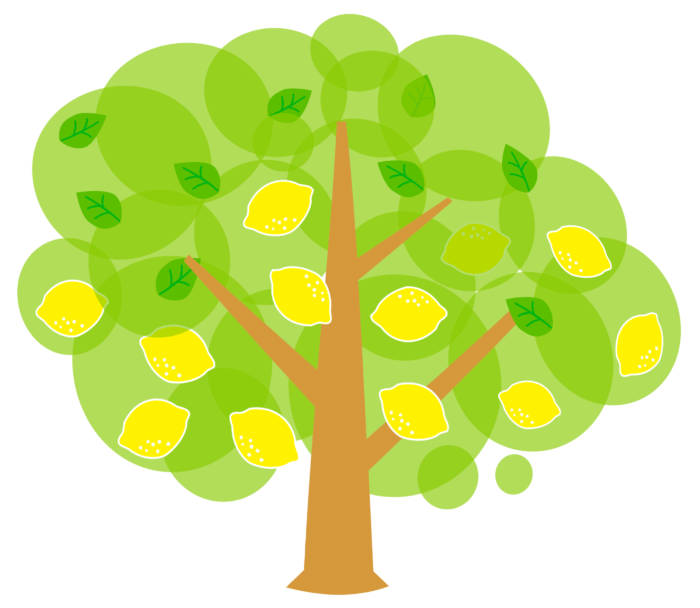 Trees in PNG on Transparent Background - Free Cliparts