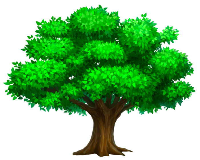 Trees in PNG on Transparent Background - Free Cliparts