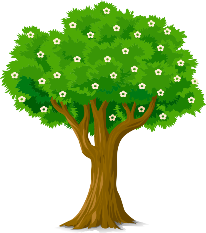 Trees in PNG on Transparent Background - Free Cliparts