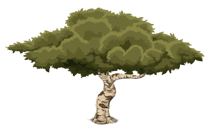 Trees in PNG on Transparent Background - Free Cliparts