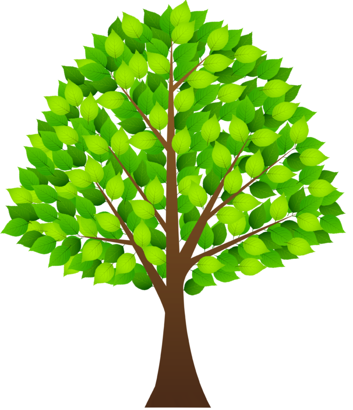 Trees in PNG on Transparent Background - Free Cliparts