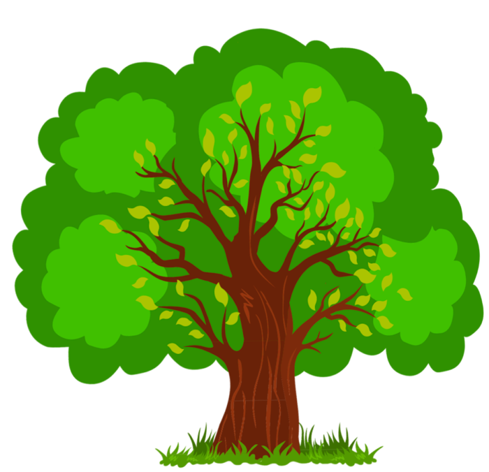 الأشجار بتنسيق PNG على خلفية شفافة - صور مجانية
