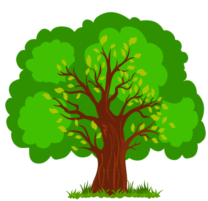 Arbres au format PNG sur fond transparent - Images gratuites