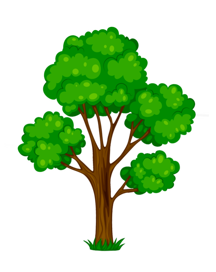 Arbres au format PNG sur fond transparent - Images gratuites