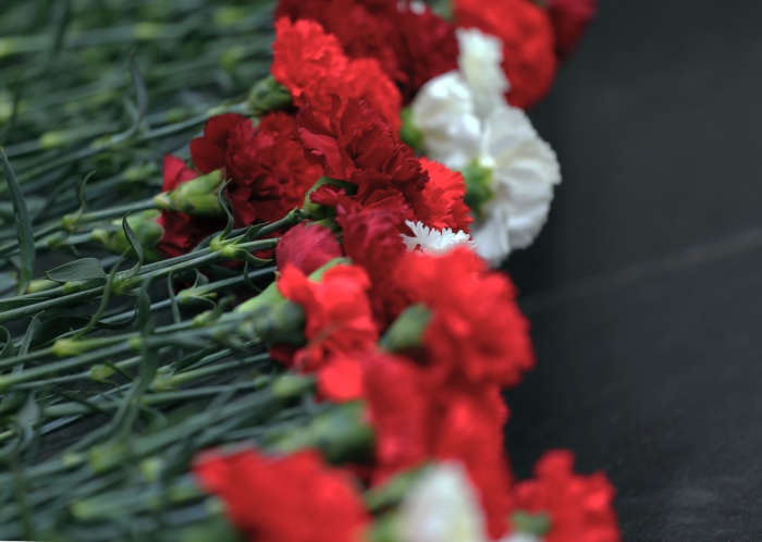 Fotos de hermosos claveles - 105 imágenes de estas flores