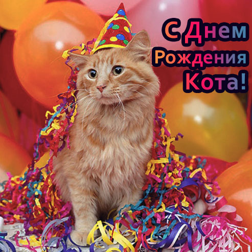 С Днём Рождения Кота - 50 праздничных картинок