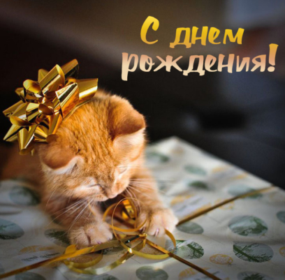 С Днём Рождения Кота - 50 праздничных картинок