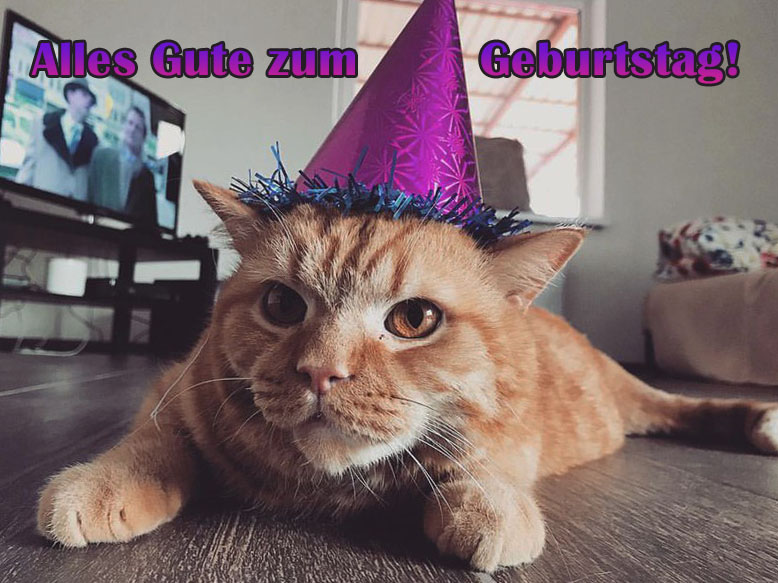 Alles Gute Zum Geburtstag Zu Den Katzen Bildern Gru Karten Gratis