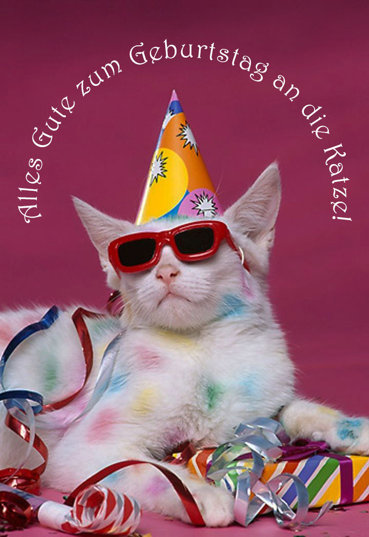 Alles Gute zum Geburtstag zu den Katzen Bildern - 50 Grußkarten gratis