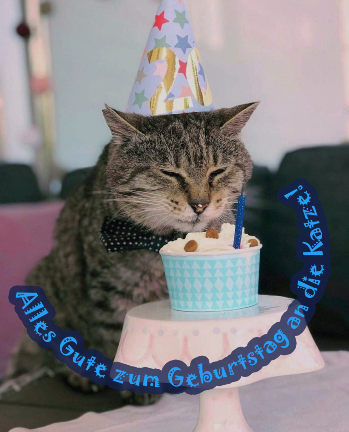 Alles Gute zum Geburtstag zu den Katzen Bildern - 50 Grußkarten gratis