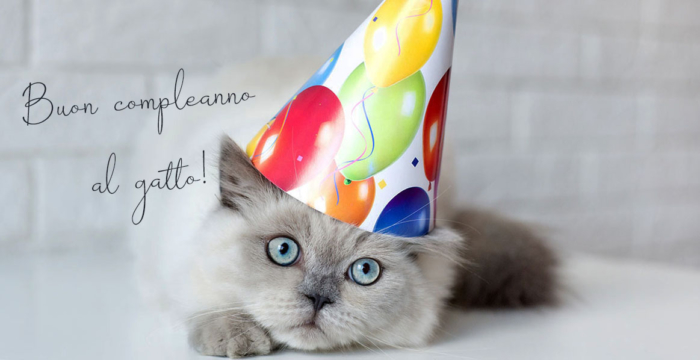 Immagini di Buon Compleanno al Gatto - 50 biglietti di auguri gratis