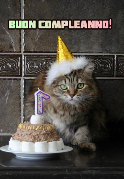 Immagini di Buon Compleanno al Gatto - 50 biglietti di auguri gratis