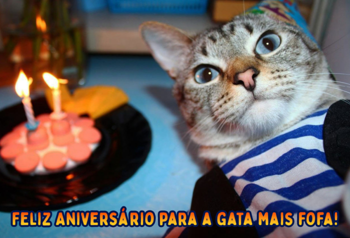 Imagens de Feliz aniversário para do gato - 50 cartões grátis