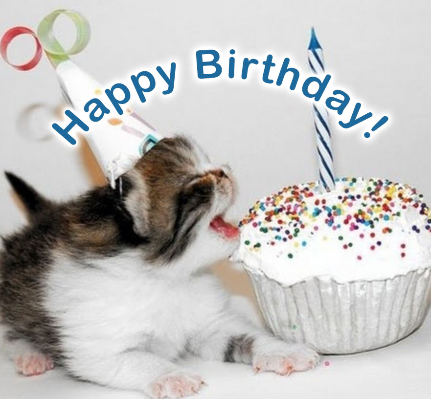 Happy Birthday Wishes With Cats