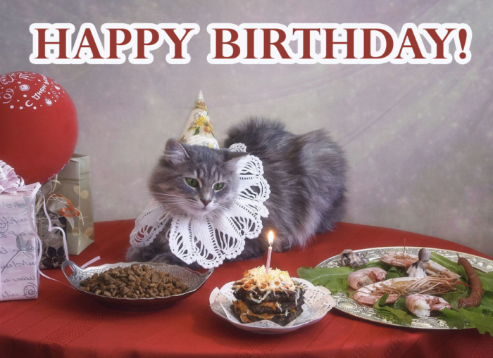 Happy Birthday to The Cat Pictures - 50 Greeting Cards For Free