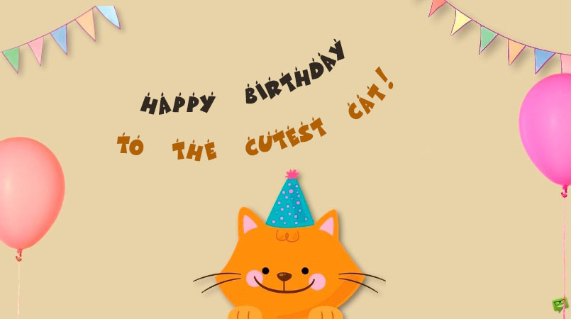 Depuis le Chat Happy Birthday Card Cartoon Ginger Cat Free Post 1ST Classe
