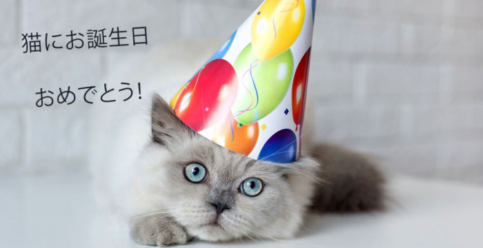 猫の写真の誕生日おめでとう。50枚のグリーティングカードを無料で