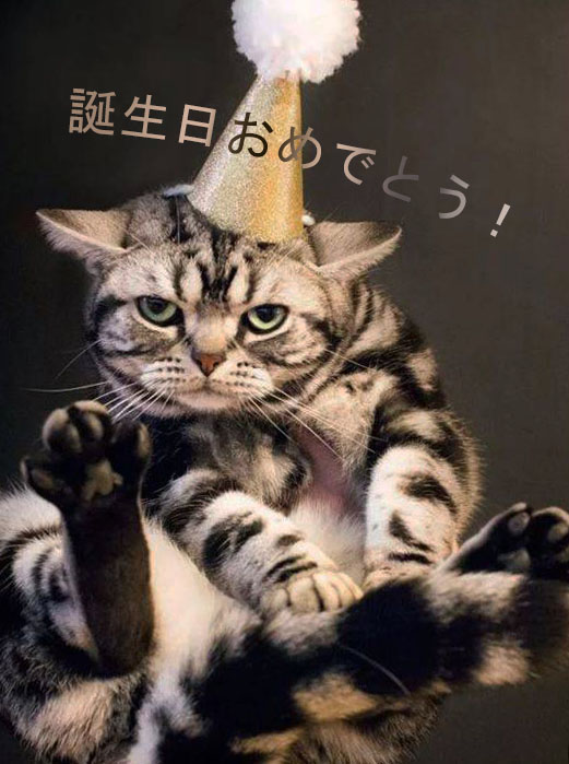 猫の写真の誕生日おめでとう 50枚のグリーティングカードを無料で