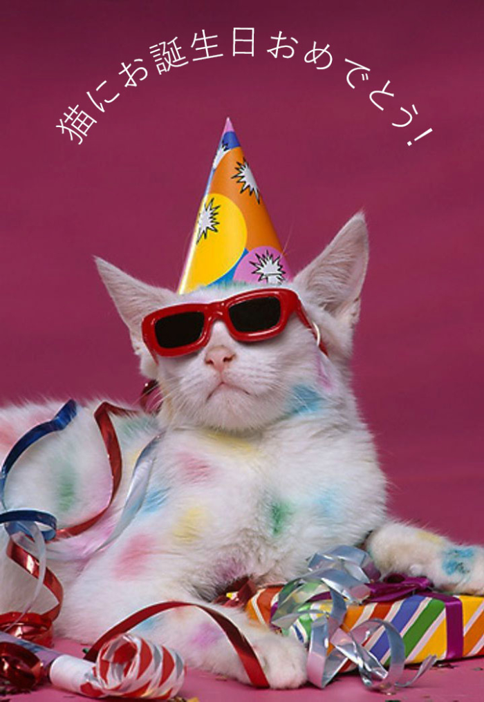 猫の写真の誕生日おめでとう。50枚のグリーティングカードを無料で