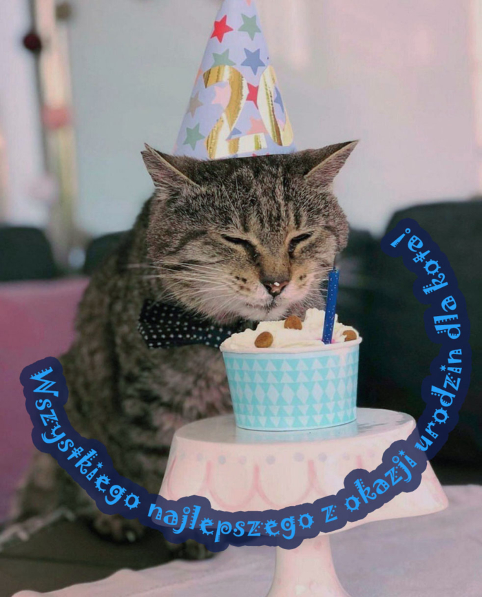 Wszystkiego najlepszego dla kotów - 50 kartek z życzeniami za darmo