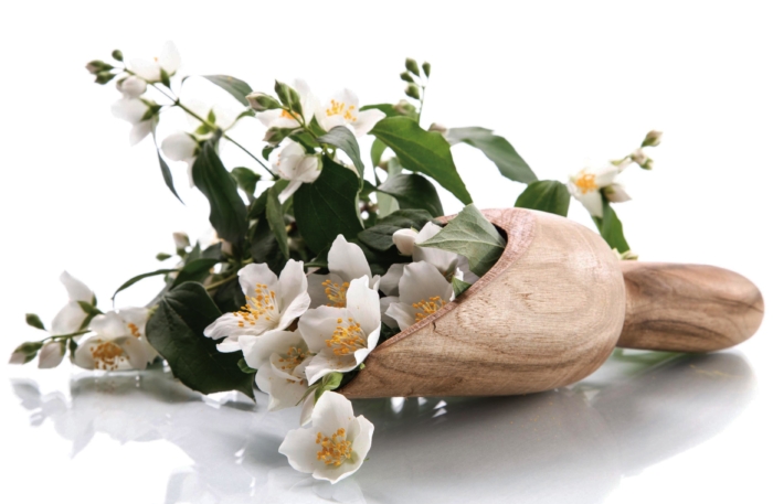 Красивые фото жасмина - 100 изображений жасмина в цветении