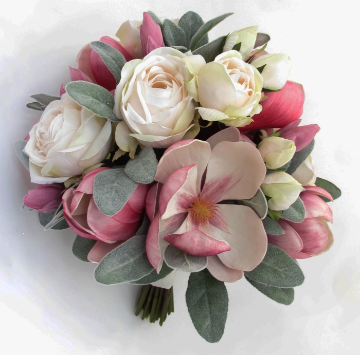 Schöne Magnolien Fotos - 100 Bilder dieser Blumen