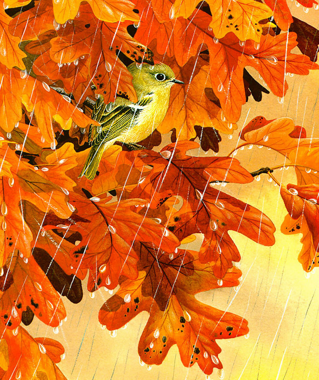 Вдруг среди листвы видишь пестрый. Norman Arlott. Осенние птицы. Осенние птицы живопись. Осень птицы.