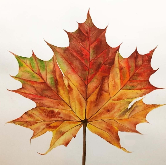 Pictures and Drawings of Autumn For Sketching - 150 Ideas For Drawing