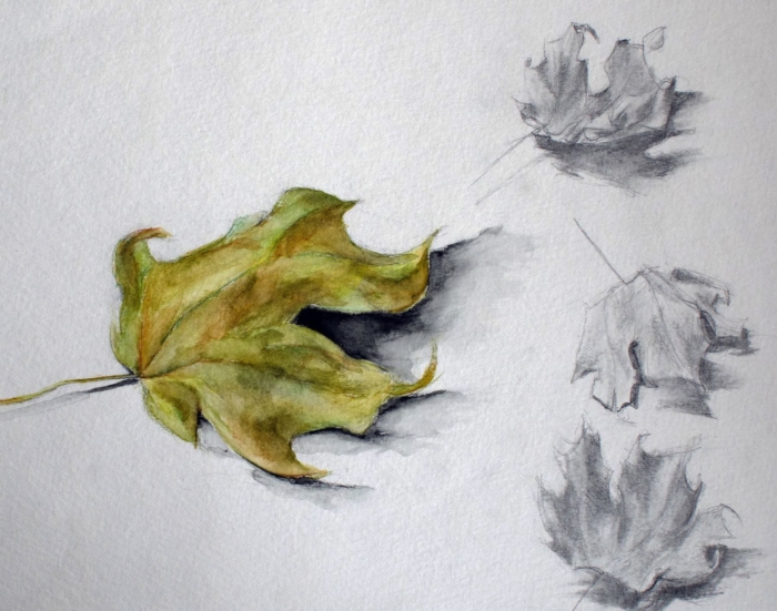 Obrázky a kresby podzimu pro skicování