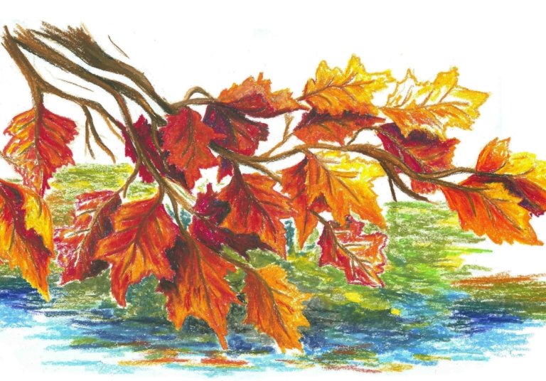 Zeichnungen des Herbstes zum Skizzieren - Ideen zum Zeichnen