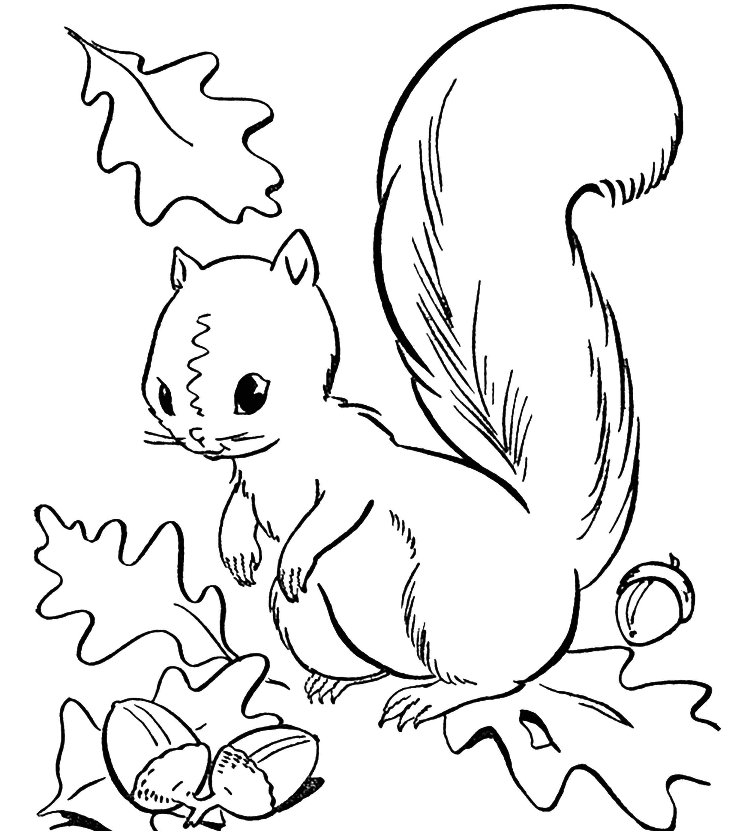 Images Et Dessins D automne Pour Le Croquis 150 Id es Pour Le Dessin