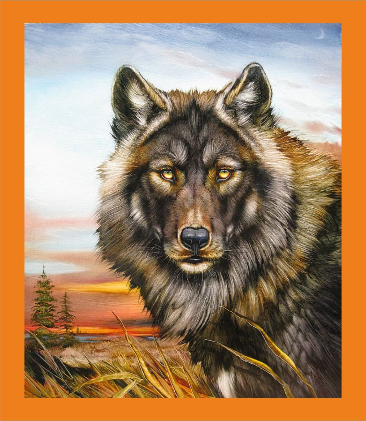 Цветные картинки волка. Красивый волк. Изображение волка. Грозный волк. Рисунки Волков.